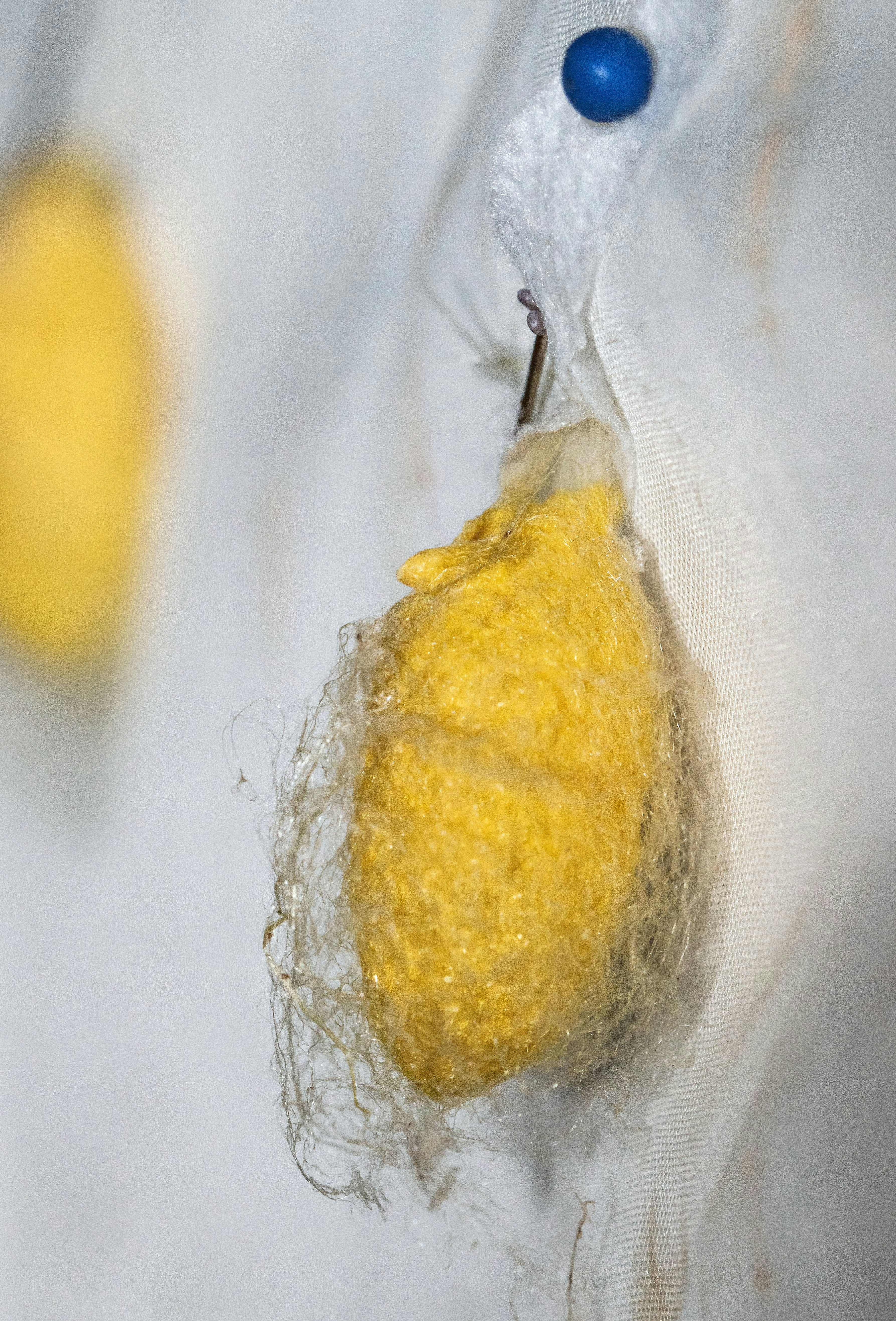 yellow fruit on white textile